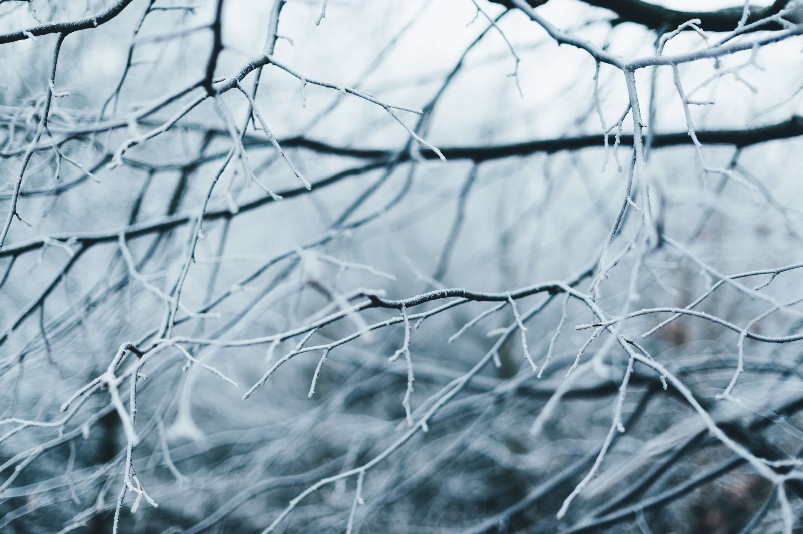 4 things to do in Swindon this winter