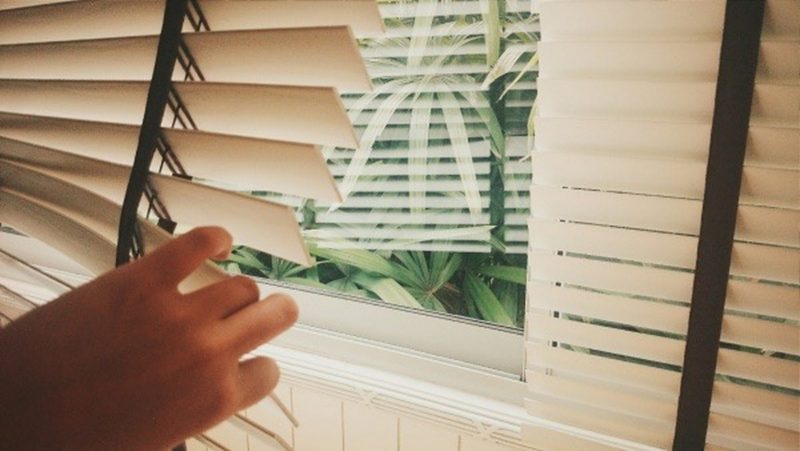 white blinds with garden behind window