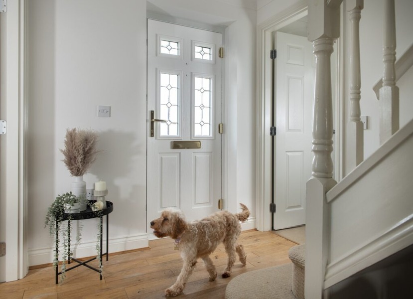 A light-colored dog walks past a white interior composite front door with decorative glass.